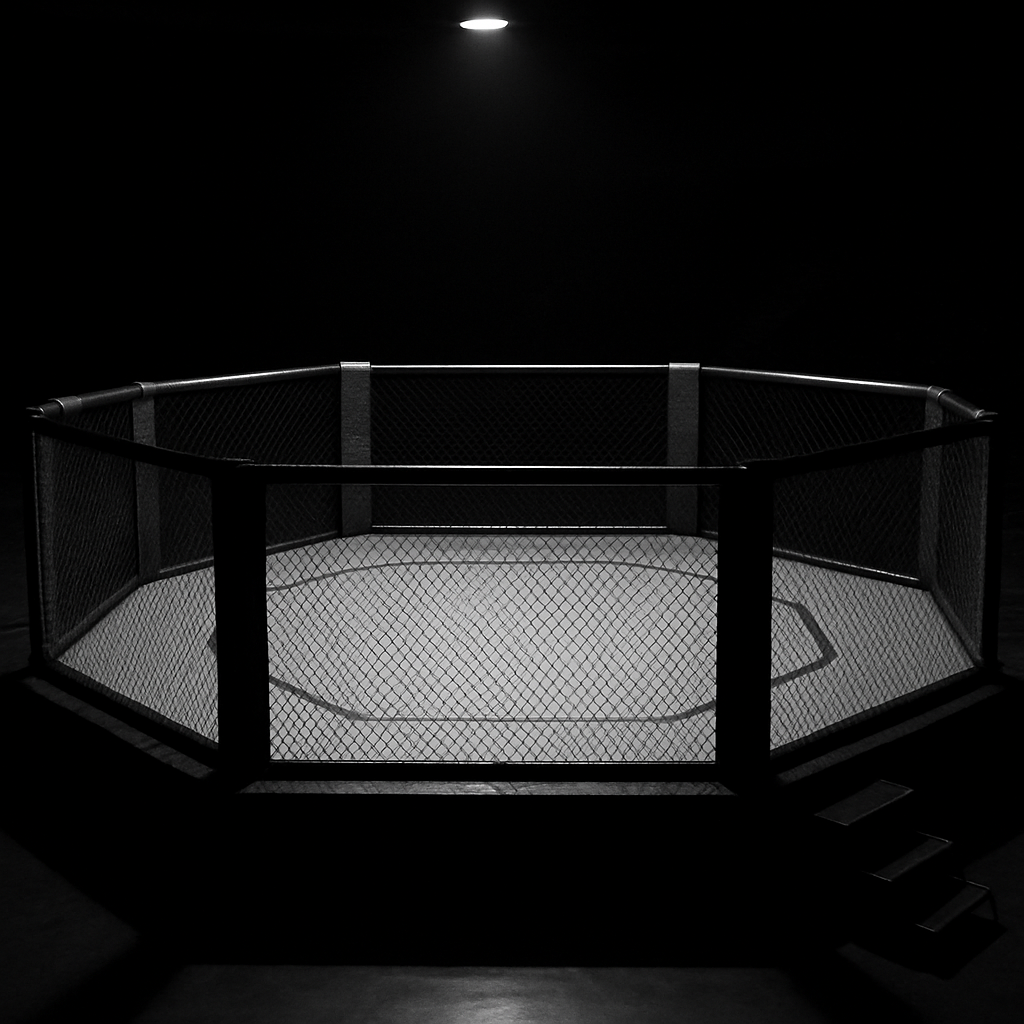 empty mma ring