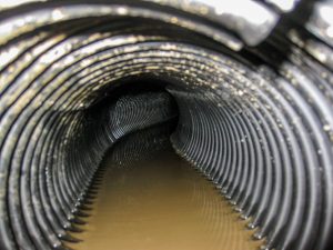 Image of a sewer drain for sewer backup blog post