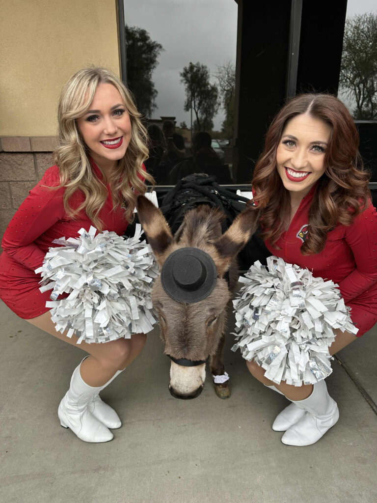 image of two cardinals cheerleaders with poppy the donkey