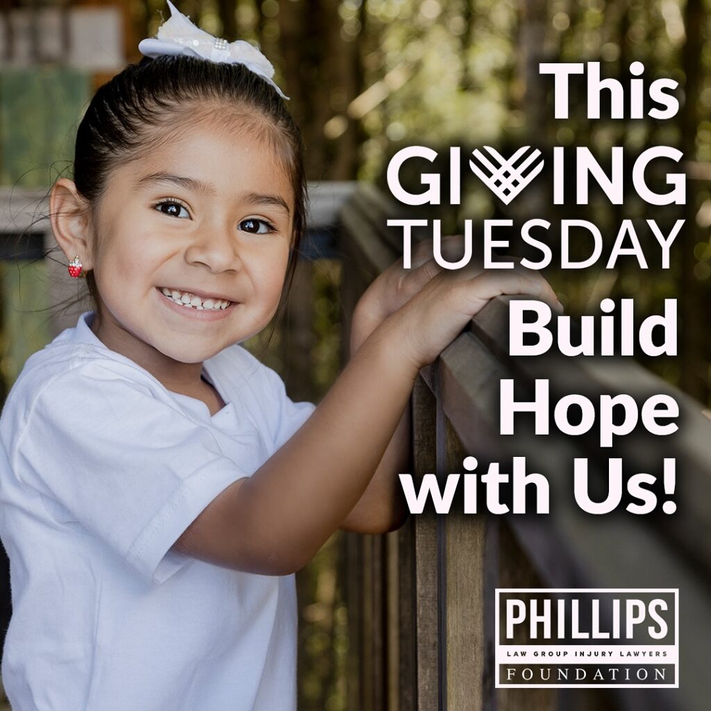 plgf holiday fundraiser image for blog post