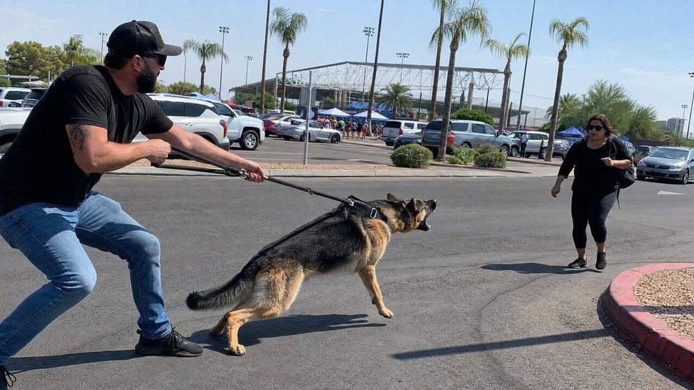 Dog Bites at Peoria Sports Complex: Premises Liability and Owner Responsibility