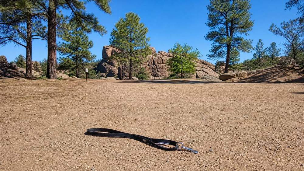 Dog bite injury in Prescott Yavapai County Arizona