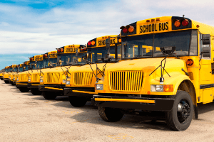 Juvenile pedestrian vs school bus