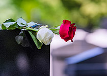 Wrongful Death Law