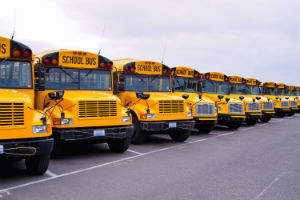 school buses lined up